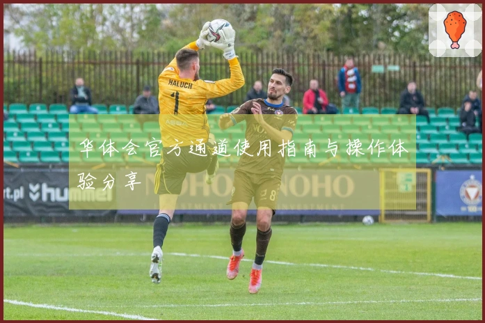 华体会官方通道使用指南与操作体验分享