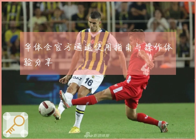 华体会官方通道使用指南与操作体验分享